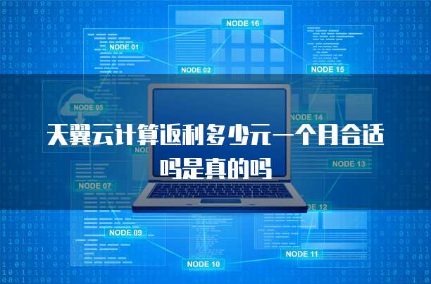 天翼云计算返利多少元一个月合适吗是真的吗