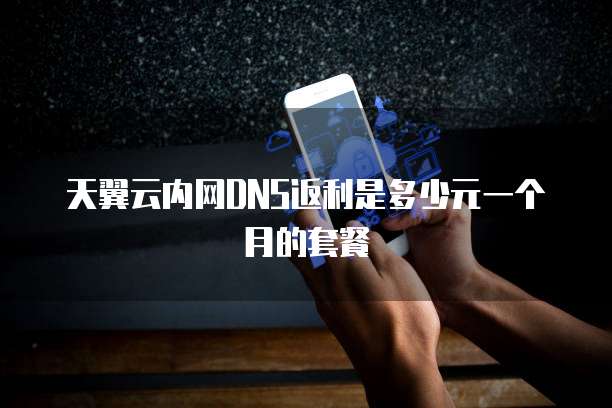 天翼云内网DNS返利是多少元一个月的套餐