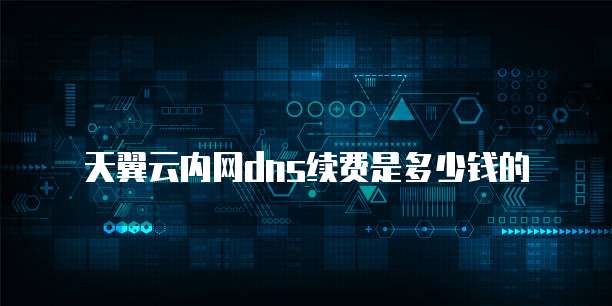 天翼云内网dns续费是多少钱的