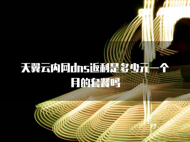 天翼云内网dns返利是多少元一个月的套餐吗