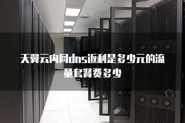 天翼云内网dns返利是多少元的流量套餐费多少