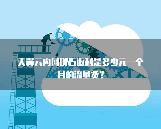 天翼云内网DNS返利是多少元一个月的流量费？