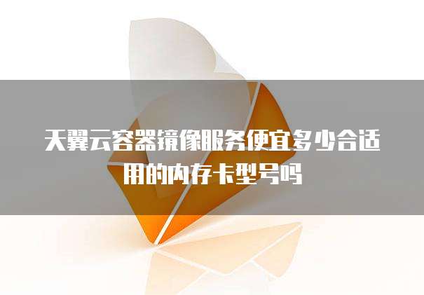 天翼云容器镜像服务便宜多少合适用的内存卡型号吗