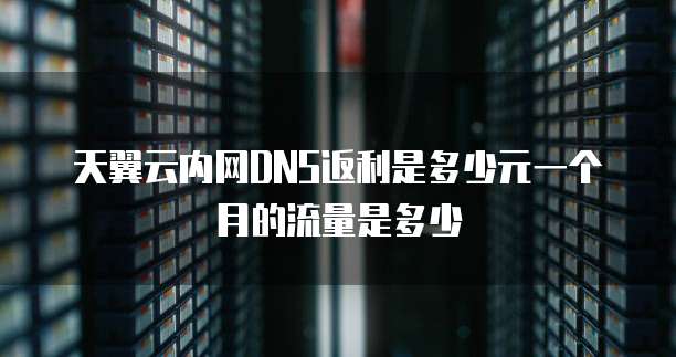 天翼云内网DNS返利是多少元一个月的流量是多少