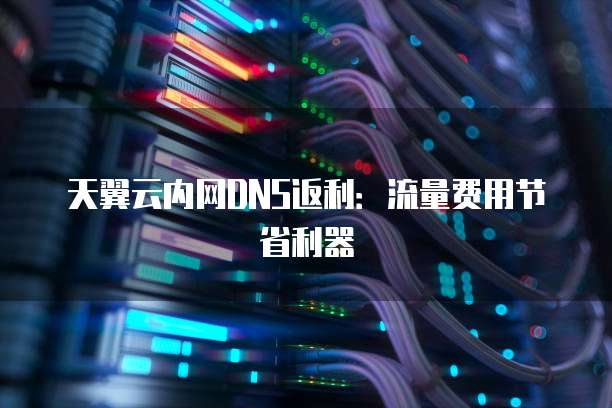 天翼云内网DNS返利：流量费用节省利器