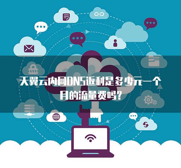 天翼云内网DNS返利是多少元一个月的流量费吗?
