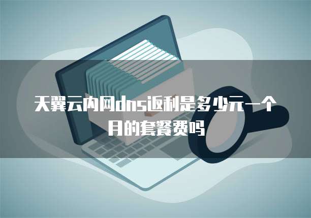 天翼云内网dns返利是多少元一个月的套餐费吗