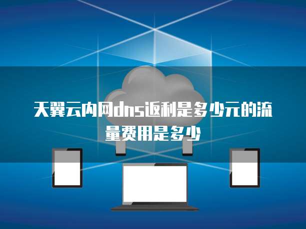 天翼云内网dns返利是多少元的流量费用是多少