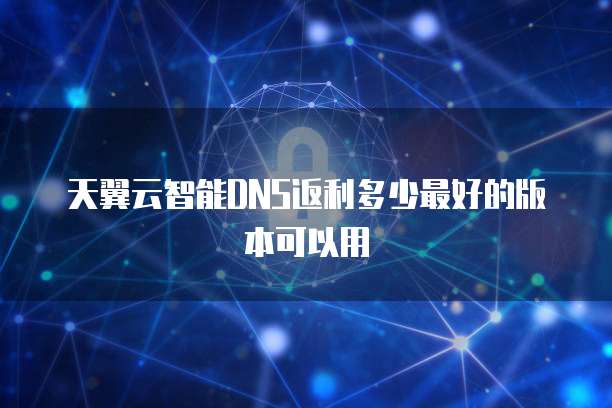天翼云智能DNS返利多少最好的版本可以用