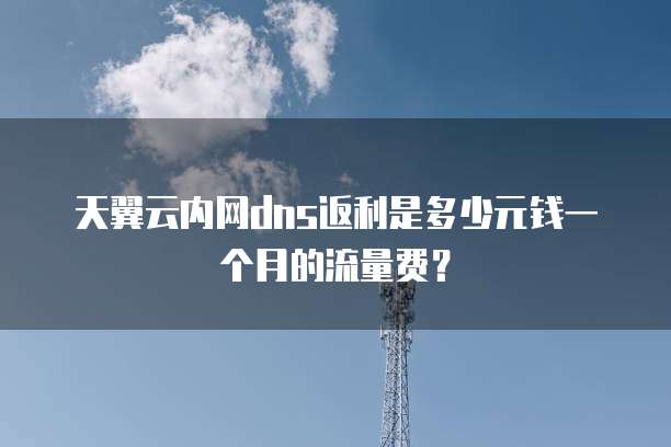 天翼云内网dns返利是多少元钱一个月的流量费？