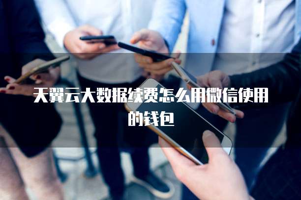 天翼云大数据续费怎么用微信使用的钱包