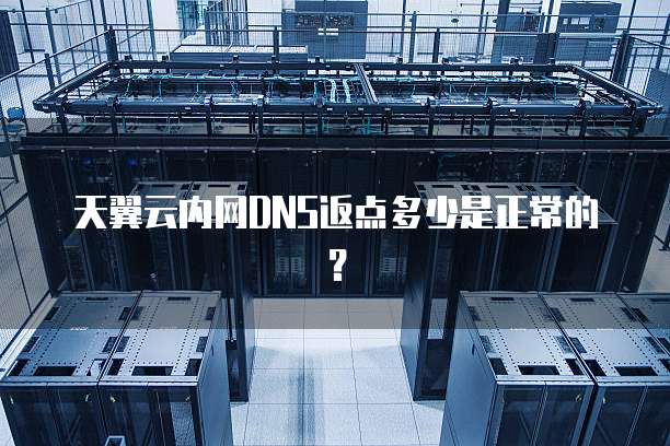 天翼云内网DNS返点多少是正常的？