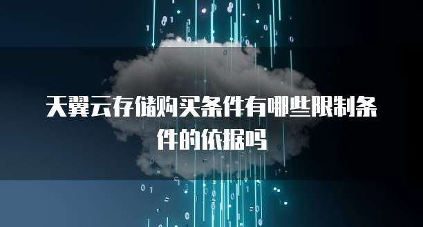 天翼云存储购买条件有哪些限制条件的依据吗