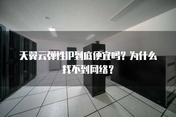 天翼云弹性IP到底便宜吗？为什么找不到网络？