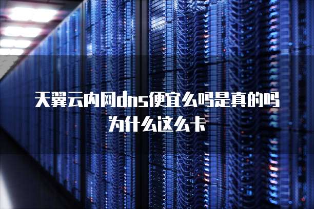 天翼云内网dns便宜么吗是真的吗为什么这么卡