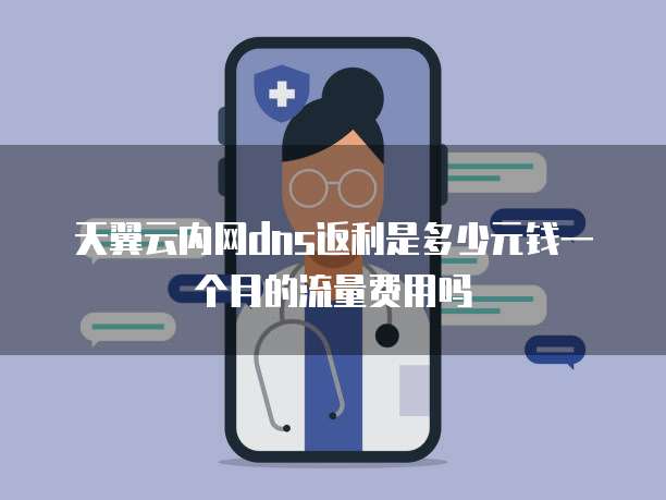 天翼云内网dns返利是多少元钱一个月的流量费用吗