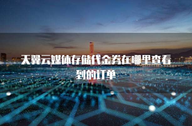 天翼云媒体存储代金券在哪里查看到的订单