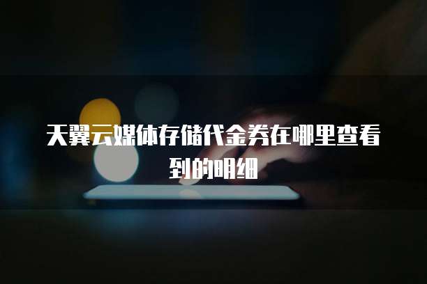 天翼云媒体存储代金券在哪里查看到的明细