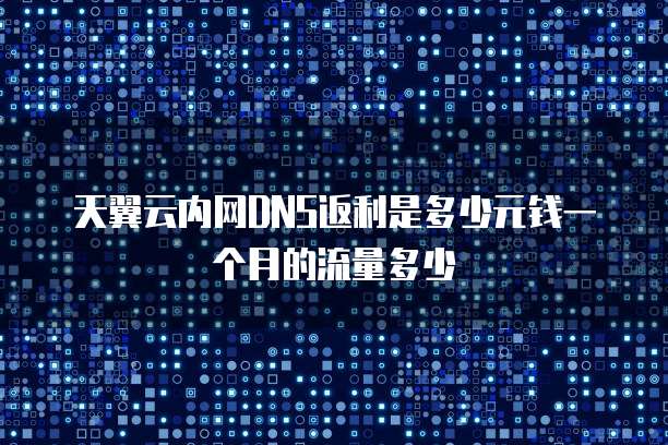 天翼云内网DNS返利是多少元钱一个月的流量多少