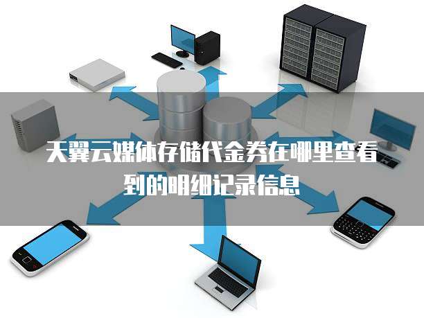 天翼云媒体存储代金券在哪里查看到的明细记录信息
