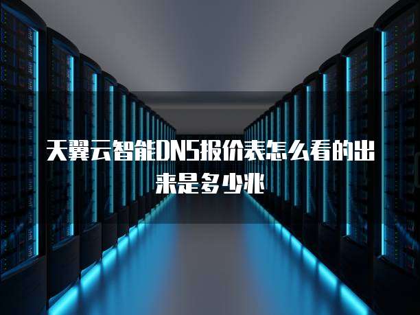 天翼云智能DNS报价表怎么看的出来是多少兆