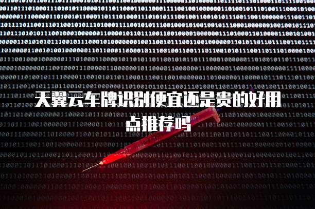 天翼云车牌识别便宜还是贵的好用点推荐吗