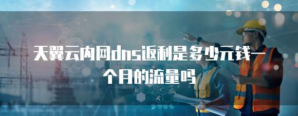 天翼云内网dns返利是多少元钱一个月的流量吗