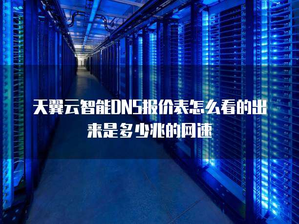 天翼云智能DNS报价表怎么看的出来是多少兆的网速