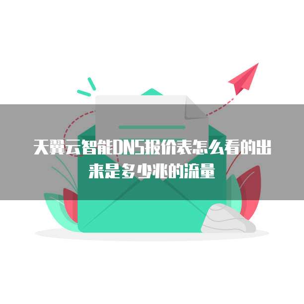 天翼云智能DNS报价表怎么看的出来是多少兆的流量