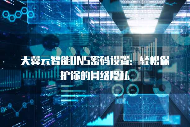 天翼云智能DNS密码设置:轻松保护你的网络隐私