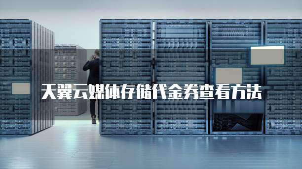 天翼云媒体存储代金券查看方法