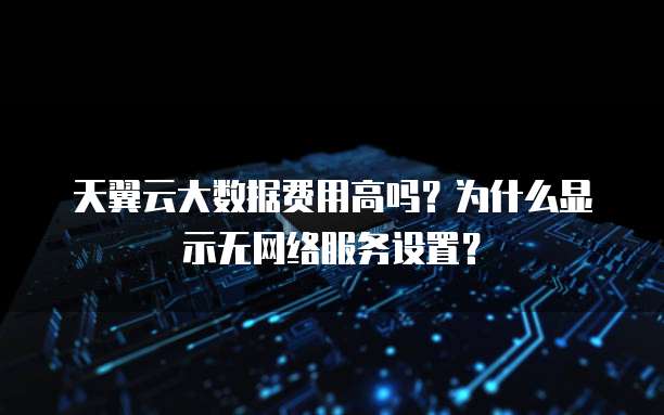 天翼云大数据费用高吗?为什么显示无网络服务设置?