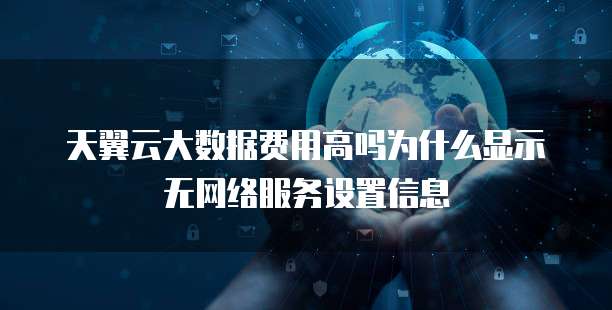 天翼云大数据费用高吗为什么显示无网络服务设置信息