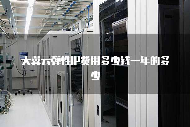 天翼云弹性IP费用多少钱一年的多少