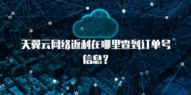 天翼云网络返利在哪里查到订单号信息?