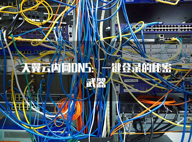 天翼云内网DNS:一键登录的秘密武器