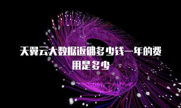 天翼云大数据返佣多少钱一年的费用是多少