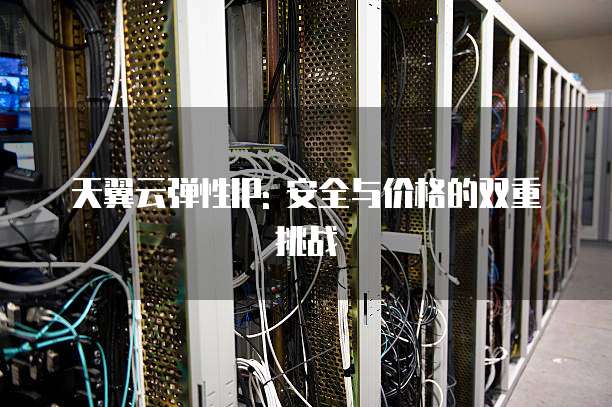 天翼云弹性IP: 安全与价格的双重挑战