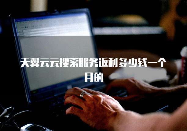 天翼云云搜索服务返利多少钱一个月的