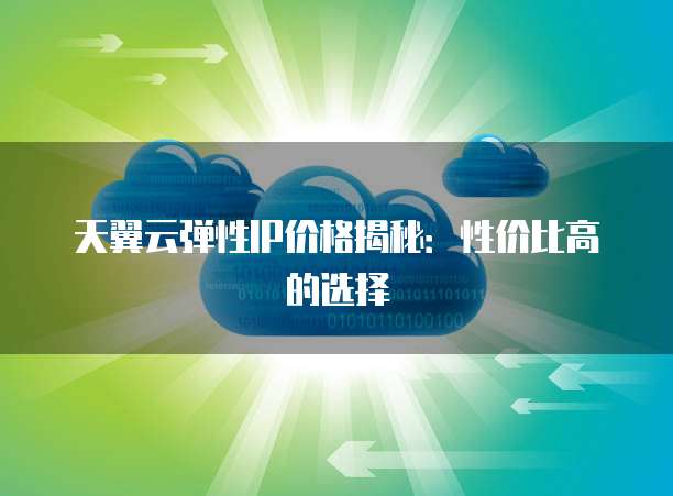 天翼云弹性IP价格揭秘:性价比高的选择