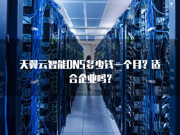 天翼云智能DNS多少钱一个月?适合企业吗?