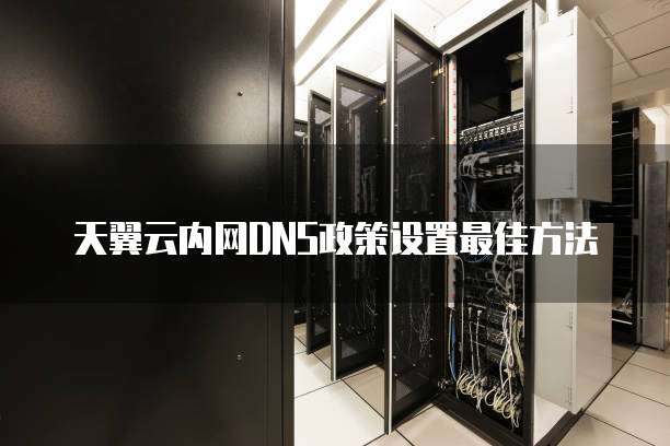 天翼云内网DNS政策设置最佳方法