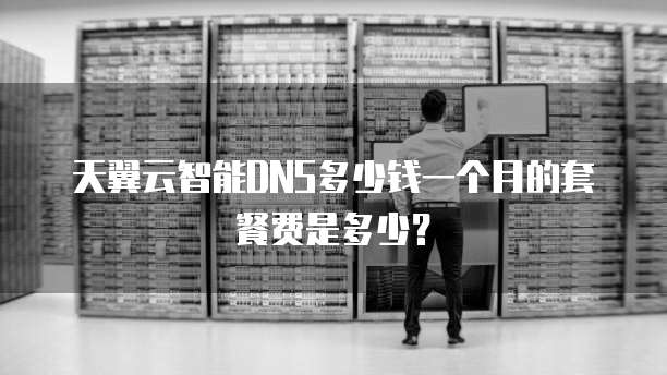 天翼云智能DNS多少钱一个月的套餐费是多少？