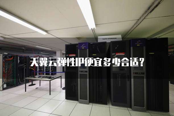 天翼云弹性IP便宜多少合适?