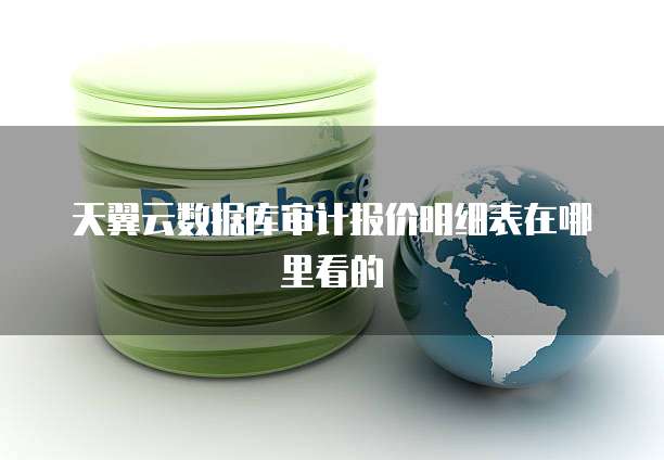 天翼云数据库审计报价明细表在哪里看的