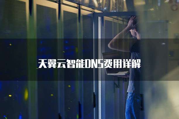 天翼云智能DNS费用详解