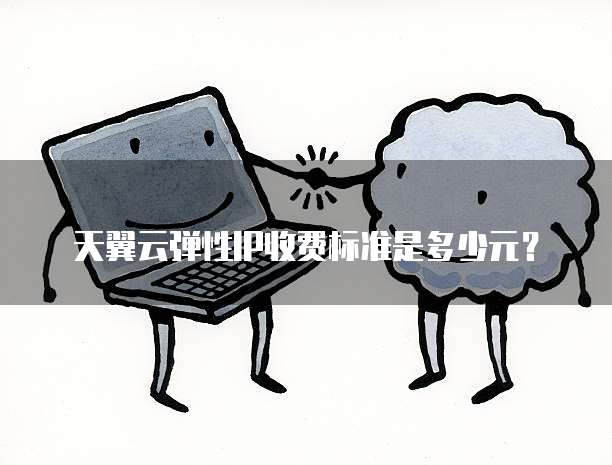 天翼云弹性IP收费标准是多少元?