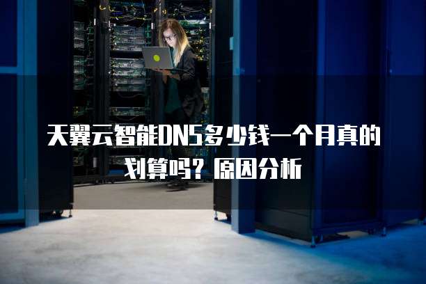 天翼云智能DNS多少钱一个月真的划算吗?原因分析
