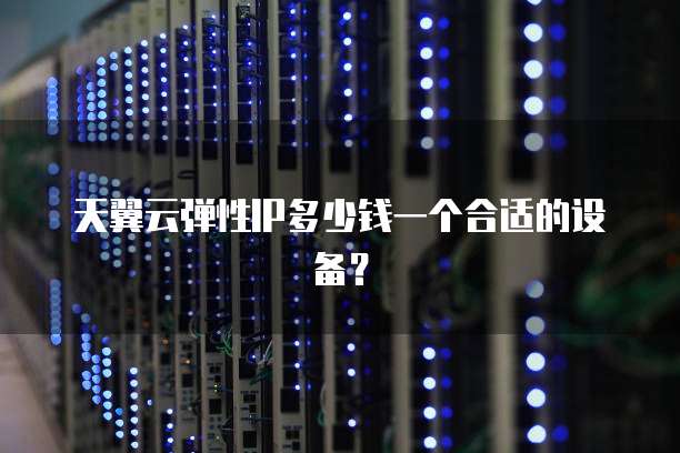 天翼云弹性IP多少钱一个合适的设备?