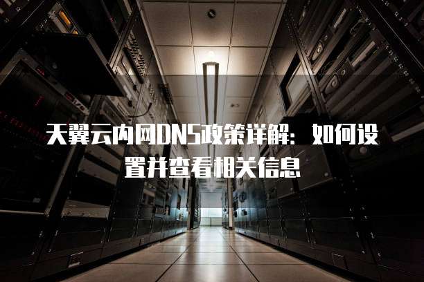天翼云内网DNS政策详解:如何设置并查看相关信息